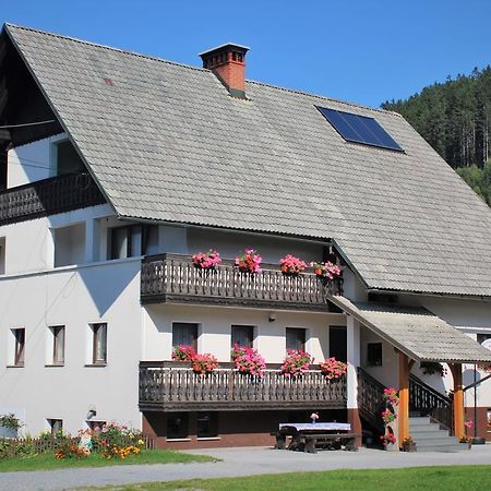 Apartments Peternelj Davča Eksteriør billede